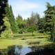 Looking across a lake to another section of the garden