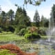 A fountain in the garden