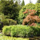 Beautiful plants