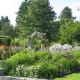 The rose garden