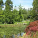 A lovely scene in the garden