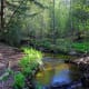 Picture Rocks National Lakeshore