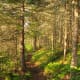 Isle Royale National Park