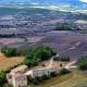 Lavender fields below Sault.