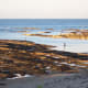 The rock pools of North Beadnell