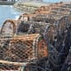 Crab Pots lined up at Beadnell Harbour