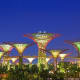 The Super Trees of Singapore's Gardens by the Bay. The city state's most iconic attraction at the moment.