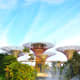 Another view of Singapore's iconic Super Trees Grove.