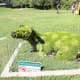 The calf with the carousel building and the Be a Bee-liever display in the background