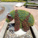 A young bear and a bench for visitors; it looks at though his plants are still growing