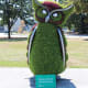 I love the head tilt of this owl.