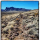 arizona