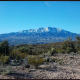arizona