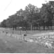 The stone fence