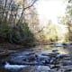Cedar Creek
