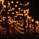 Lanterns in the Parc de la Tête d'Or