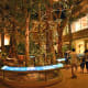 Lush forests filled with animals once covered Hong Kong.