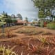 The Pineapple Variety Garden is free to visit.
