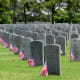 Flags on July 4th at the Houston National Cemetery