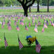 Flags on July 4th at the Houston National Cemetery