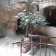 the-forestiere-underground-gardens-of-fresno