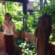 what-to-expect-the-jim-thompson-house-and-museum-in-bangkok-thailand