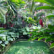 what-to-expect-the-jim-thompson-house-and-museum-in-bangkok-thailand