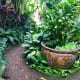 what-to-expect-the-jim-thompson-house-and-museum-in-bangkok-thailand