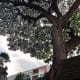 what-to-expect-the-jim-thompson-house-and-museum-in-bangkok-thailand