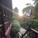 what-to-expect-the-jim-thompson-house-and-museum-in-bangkok-thailand
