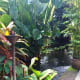 what-to-expect-the-jim-thompson-house-and-museum-in-bangkok-thailand