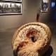 what-to-expect-the-jim-thompson-house-and-museum-in-bangkok-thailand