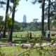 Memorial Park