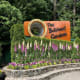 Butchart Gardens