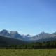 Wildflowers and Towering Mountains @ Glacier National Park