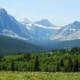 Wildflowers and Towering Mountains @ Glacier National Park