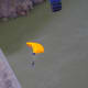 Base jumpers flying over the Snake River after jumping off of the Perrine Bridge in Twin Falls, Idaho.