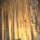 a-great-vacation-new-mexico