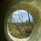 Desert through a knothole