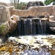Water garden