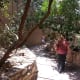 Walk through the zoo area