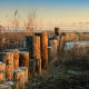 Sunrise over a frozen marsh along Lake Huron at Bay City State Park - Bay City, Michigan