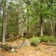 Cheboygan State Park near Cheboygan, Michigan