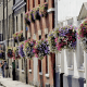 Guildhall Street display installed by Woolpit Nurseries