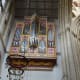 Organ Pipes