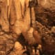 Stalagmites and Stalactities in Cave of the Mounds, Wisconsin