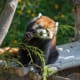 Milwaukee County Zoo in Milwaukee, Wisconsin