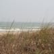 Grassy dunes