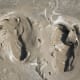 Footprints in the sand