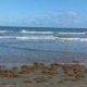 Surf and sand